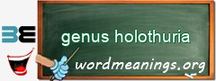 WordMeaning blackboard for genus holothuria